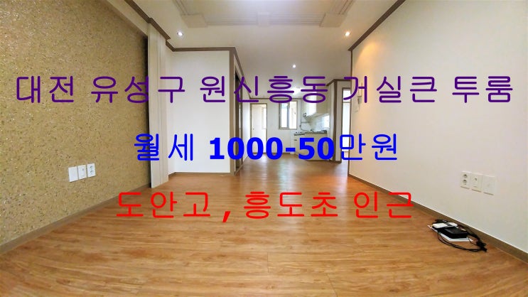  대전 유성구 원신흥동 거실큰 투룸 월세 (도안고 , 흥도초 인근)