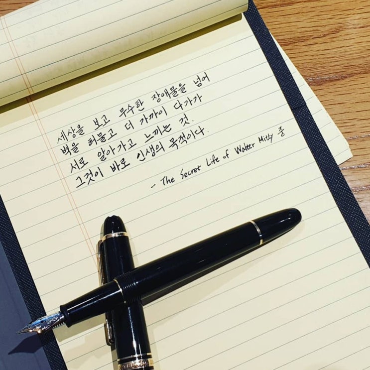  라이프(Life) 지 모토 - 월터의 상상은 현실이 된다 중
