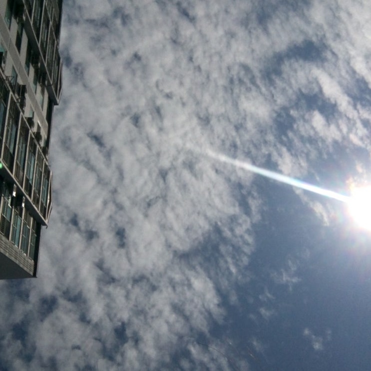  190413) 날씨 매우 좋음, 돈 펑펑 쓴 날