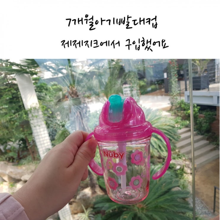  7개월아기 빨대컵 제제지크에서 구입했어요!