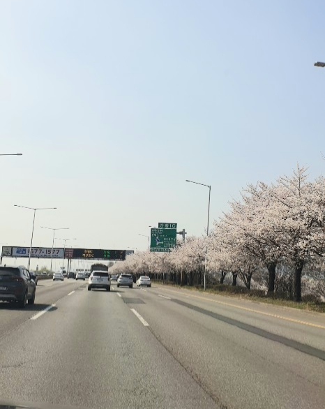 동분서주 한 주말 일상 ㅋㅋ