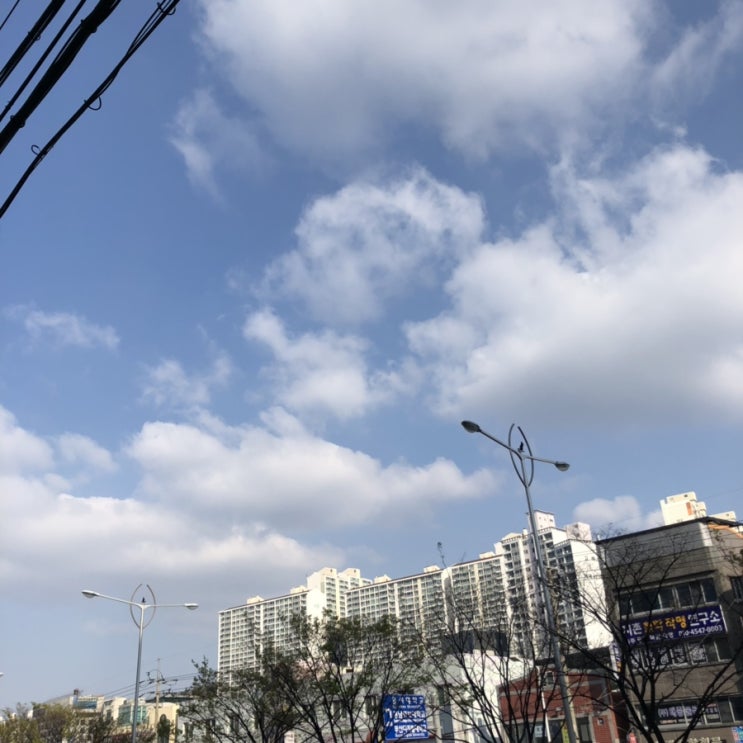 봄향기가 솔솔