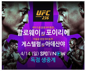  UFC 236 맥스 할로웨이 포이리에 해외 무료 중계, UFC 236 스포티비 나우 무료 중계