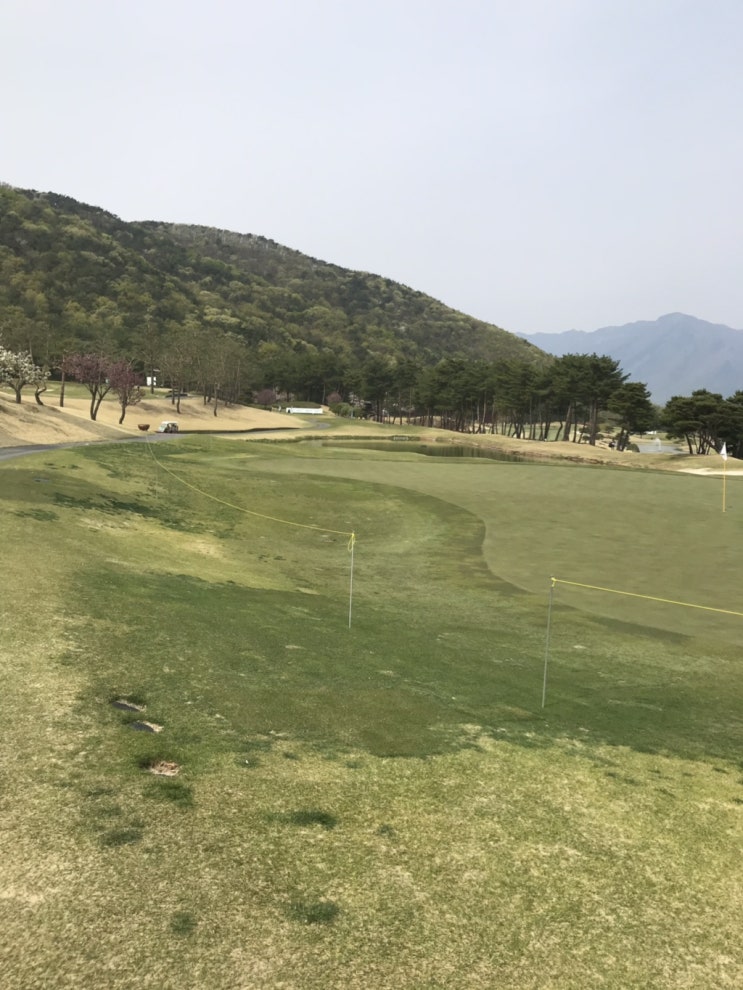  KLPGA 셀트리온마스터즈 골프대회에 갤러리로