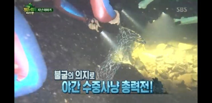  4월 13일 토요일 정글의법칙 in 태즈먼 02