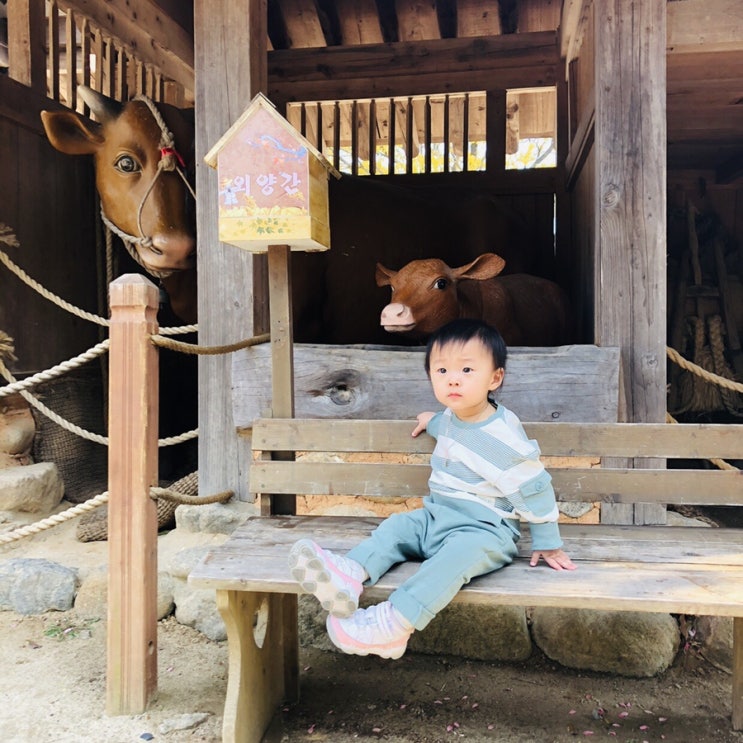 하동여행지추천 최첨판댁 소소하게 다녀오기 좋아요 하동여행지추천 최첨판댁 소소하게 다녀오기 좋아요