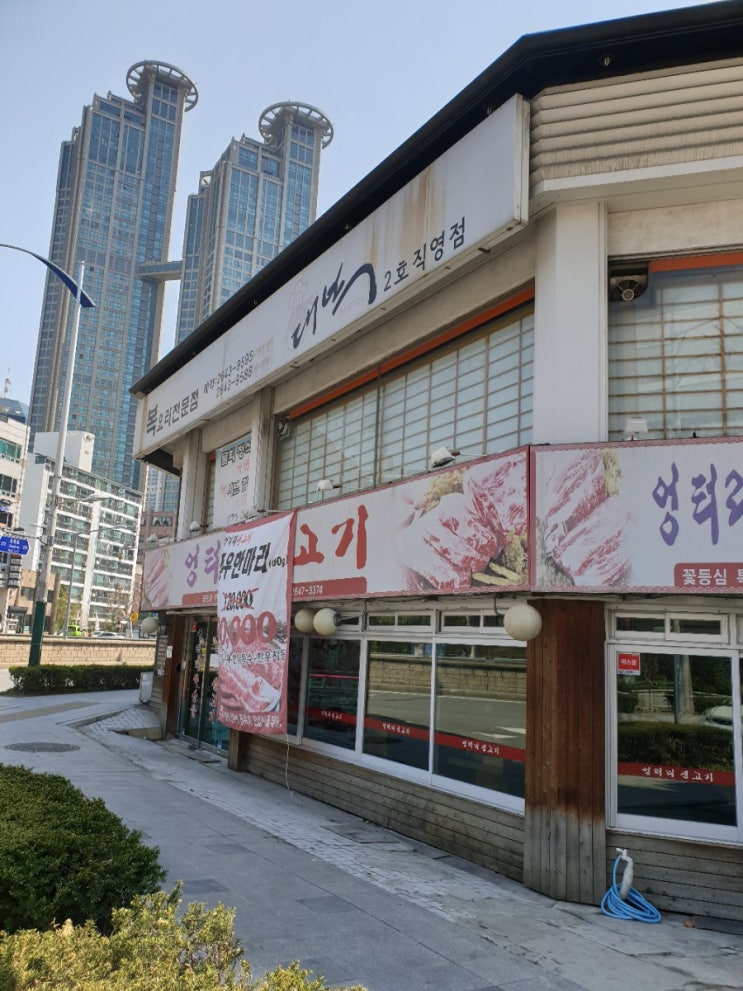  대복 : 복어 한끼 제대로 먹을 수 있는 목동맛집