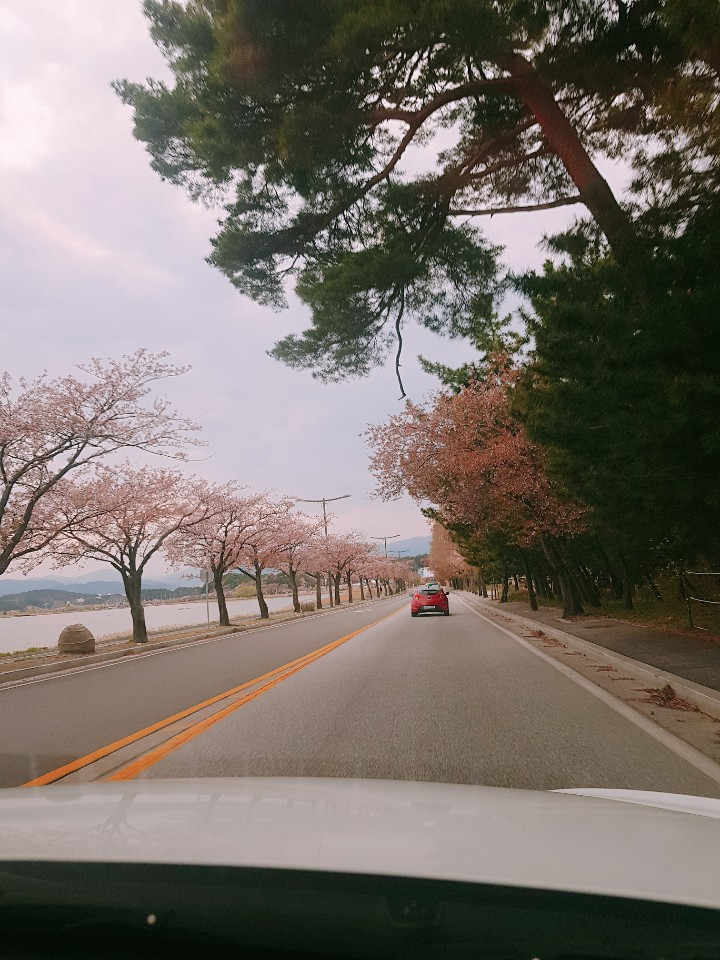  [한이24] 강릉 맛집 엄지네 포장마차! 후기! #후아유게스트하우스 #강릉게스트하우스 #게스트하우스파티 #강릉여행 #강릉시티투어
