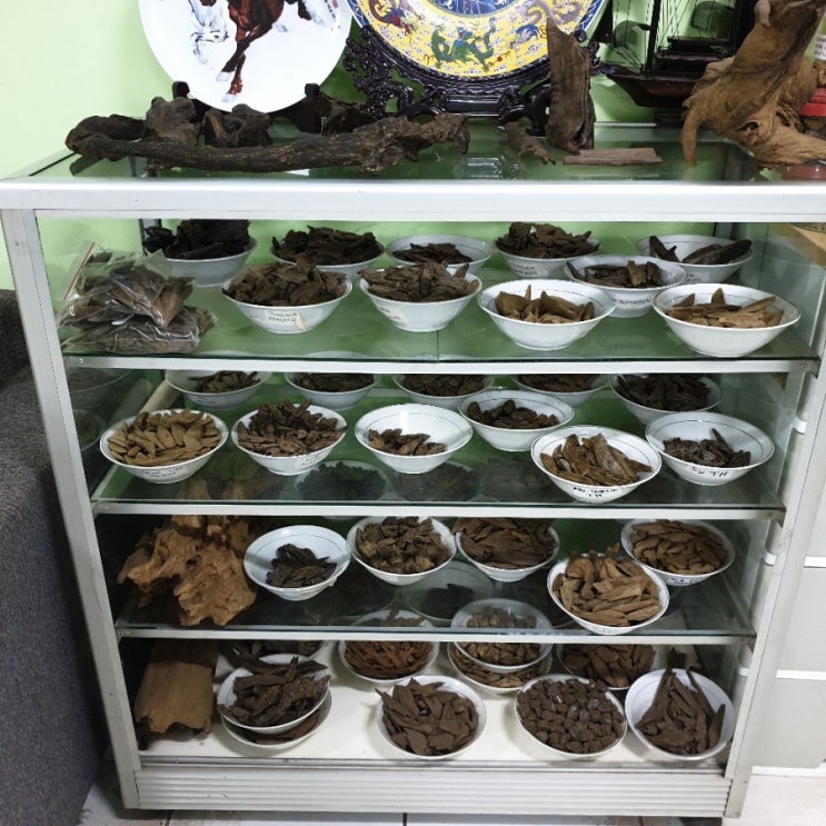  가공침향