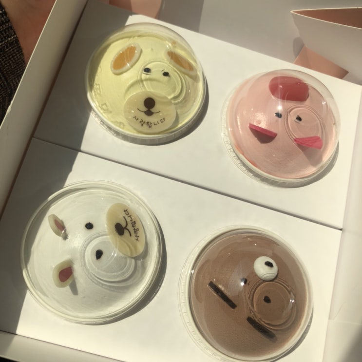  2019.04.08~14 일상이야기 