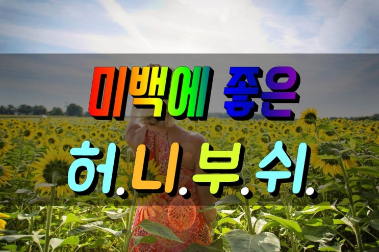  먹는 자외선 차단제, 허니부쉬 효능 제대로 알기