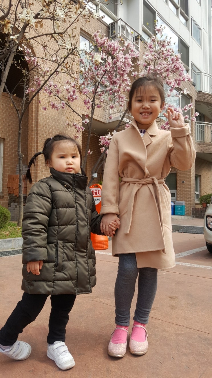  분당하뽕 손녀 손자와 중앙공원 벚꽃 나들이