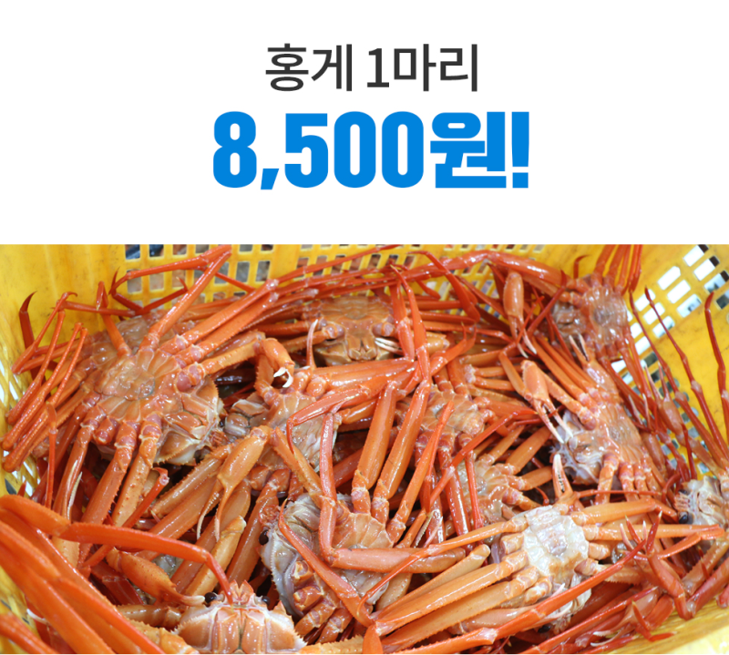 제철에 먹기 좋은 울진홍게