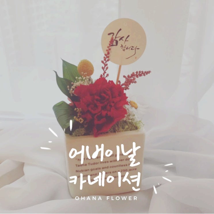  [부산프리저브드플라워] 어버이날 카네이션 센터피스 부산 수영 광안 프리저브드플라워 전문공방 오하나플라워