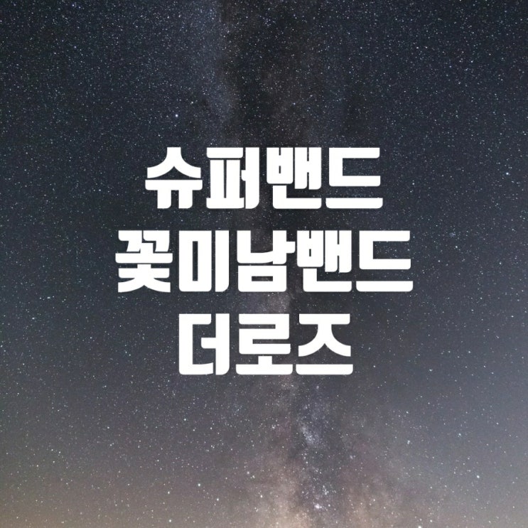  슈퍼밴드 더로즈 꽃미남밴드정보