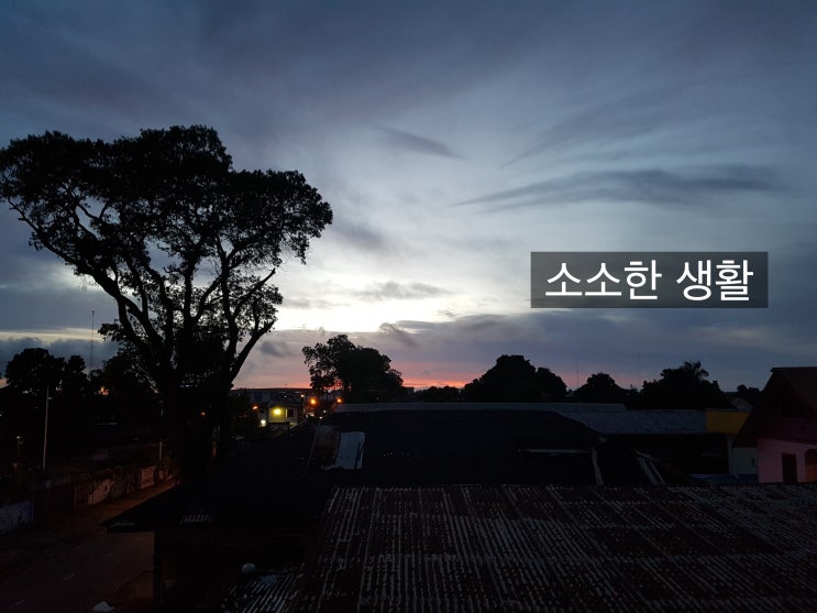  수리남 파라마리보 [야자공원, 수리남 전쟁기념관]                              한국에서 가출하기 다섯번째 이야기