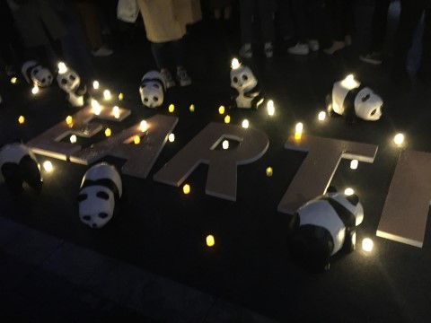 박서준을 보러 Earth Hour 캠페인에 간다고?