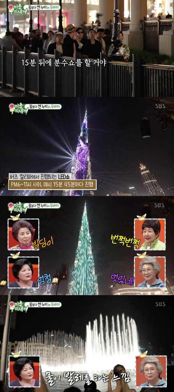  '미우새' 배정남, 센 누나들과 두바이 여행 '버즈칼리파' 이태란 황홀…김신영, 홍진영 홍선영과 '다이어트 캐슬'  