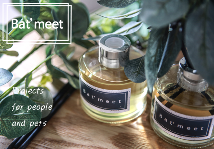  바트밋 고양이 디퓨저, 드디어 시작!