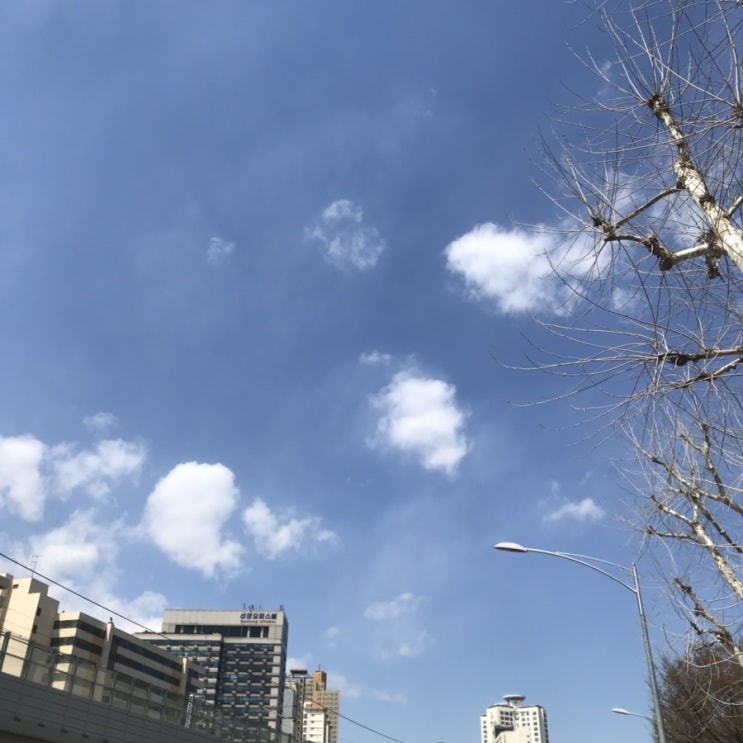  캄캄한 저 하늘위에 한바탕 난리를 치고