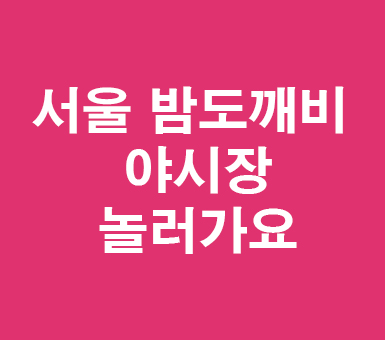서울 밤도깨비 야시장 구경하세요 서울 밤도깨비 야시장 구경하세요