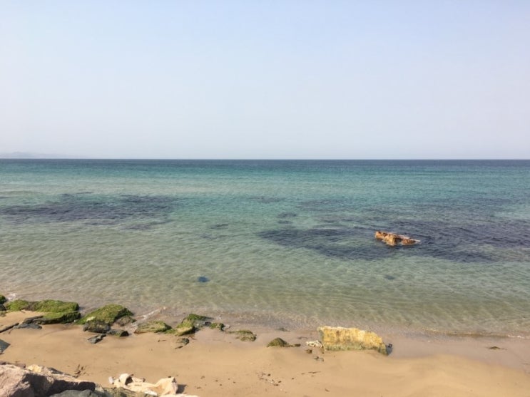  포항 가볼만 한곳:푸른 수평선이 보이는 신항만