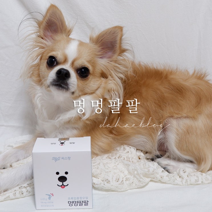  멍멍팔팔 _ 슬개골탈구 걱정엔 강아지관절영양제