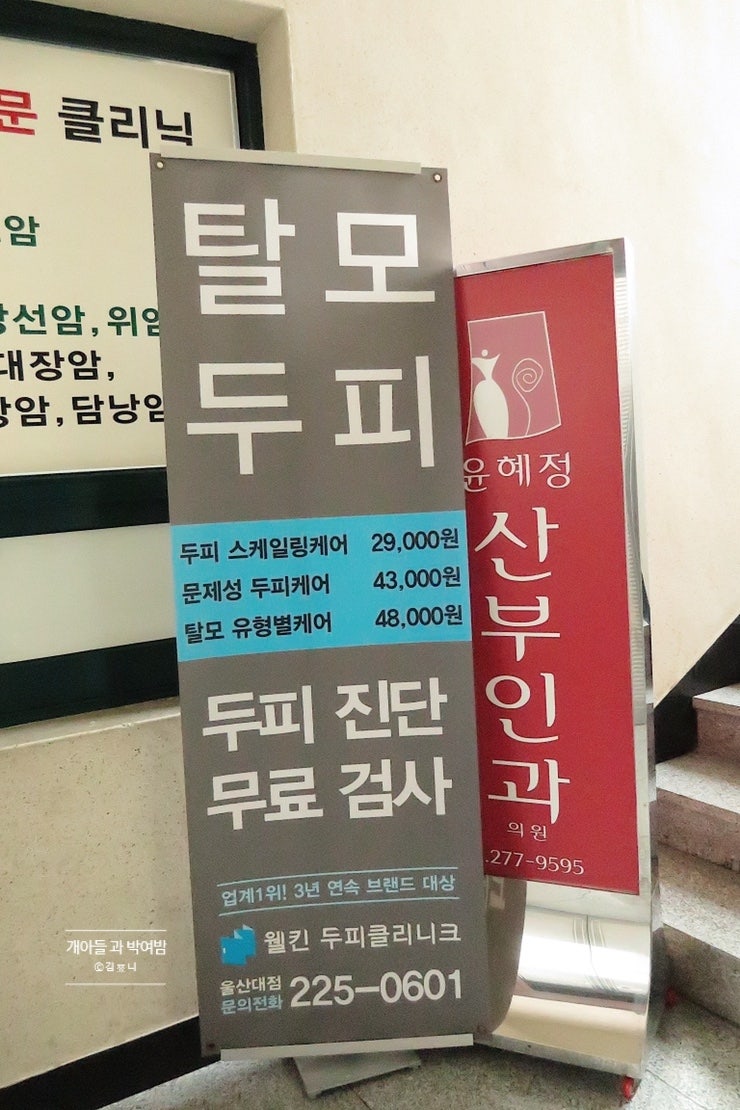 울산탈모클리닉 두피가 비어보이는게 느껴지기 시작하면 4