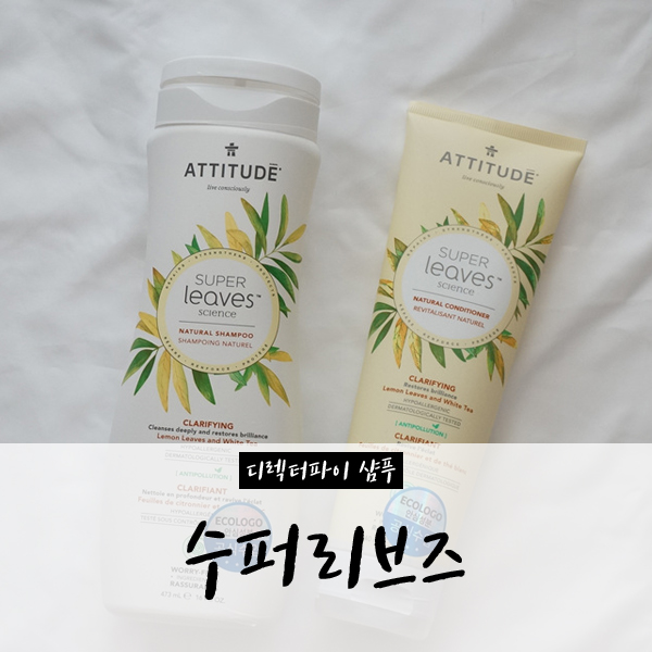  디렉터파이 샴푸 에티튜드 수퍼리브즈 (+포밍핸드솝)