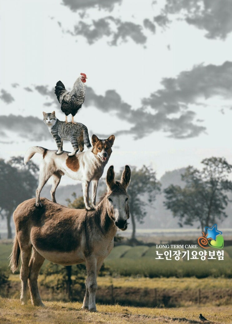  노인장기요양보험 제도 [입주요양 활용법]