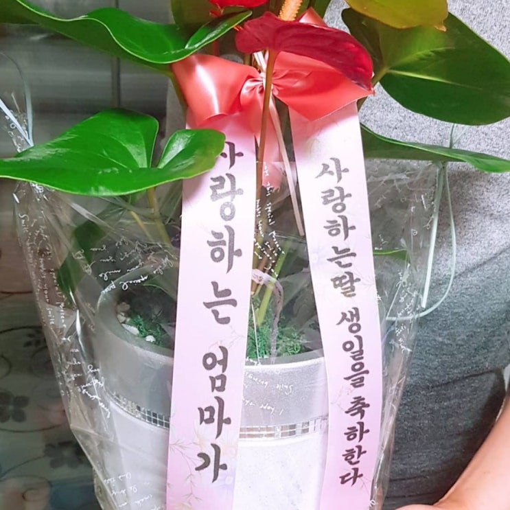  오늘은 나의날~