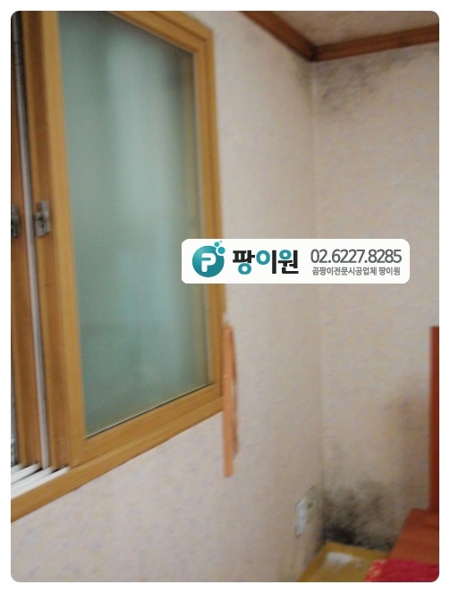  실력 있는 곰팡이제거업체 찾는다?