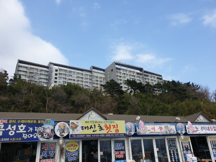  속초 롯데리조트 좋으다.