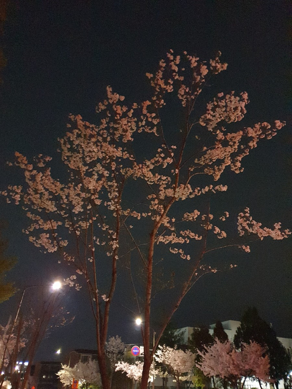  (0412-13)꿈과 책과 힘과 벽