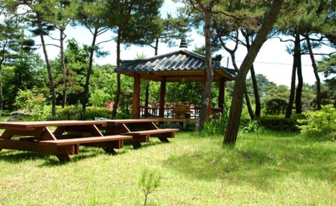 덕산도영펜션 사진 6