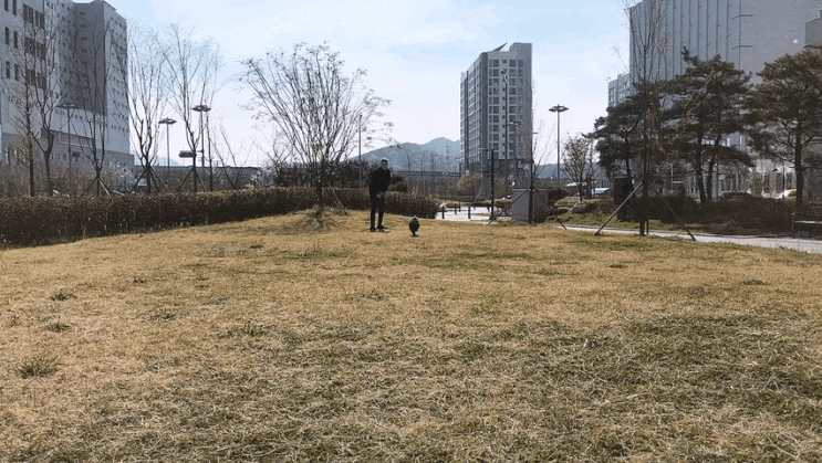  20190408-20190414