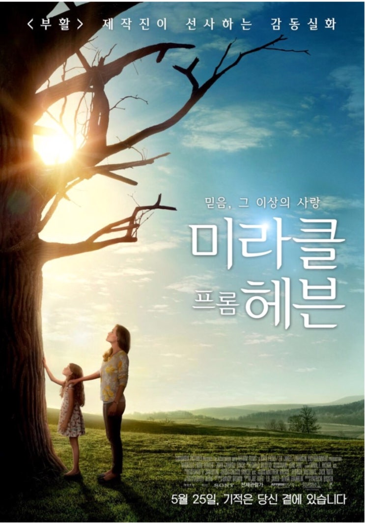  미라클 프롬 헤븐(Miracles from Heaven) 영화감상 후기/실화바탕