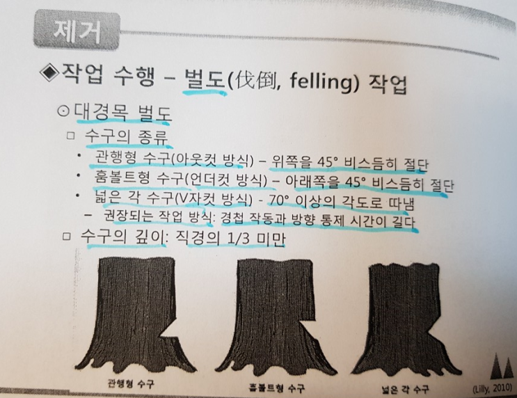  대경목,소경목,줄당김,피뢰침