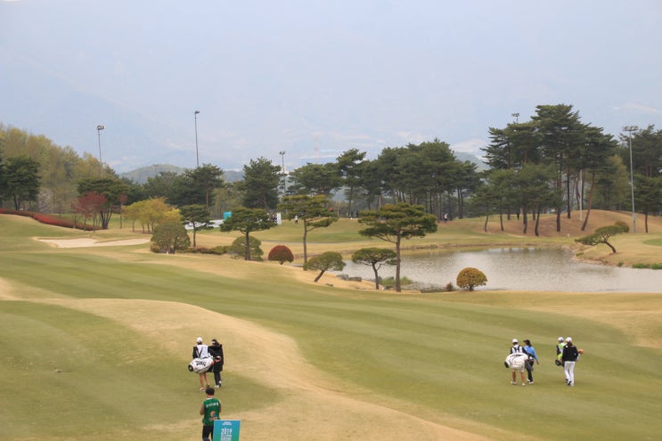  울산골프레슨 2019KLPGA셀트리온 퀸즈 마스터즈