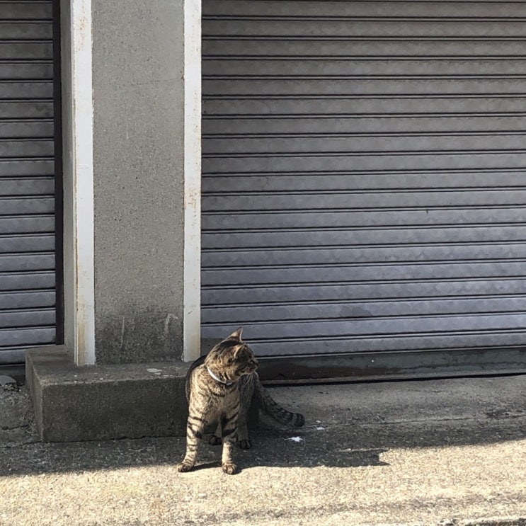  생략 생략 생략