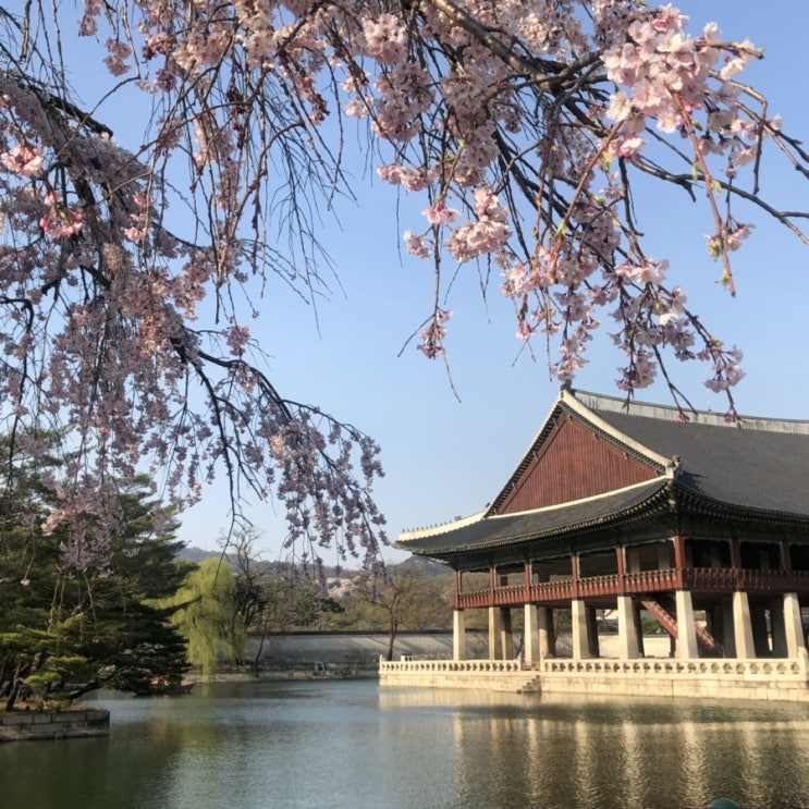  19.04