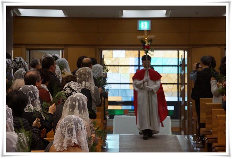  2019년 4월 14일 주일  [(홍) 주님 수난 성지주일]/성지가지 축성 미사 '입당' 5장