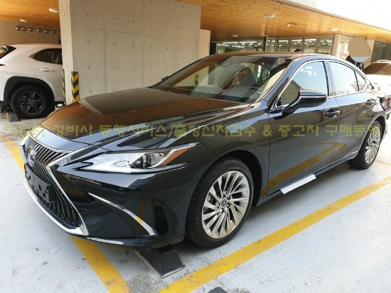  카보다-2019 렉서스 하이브리드 ES300H 신차계약후 차량인수전 정비사 출장신차검수업체 후기 