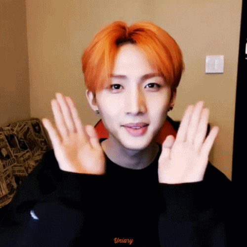  190410-0411 펜타곤 V앱 (후이, 신원, 우석) GIF