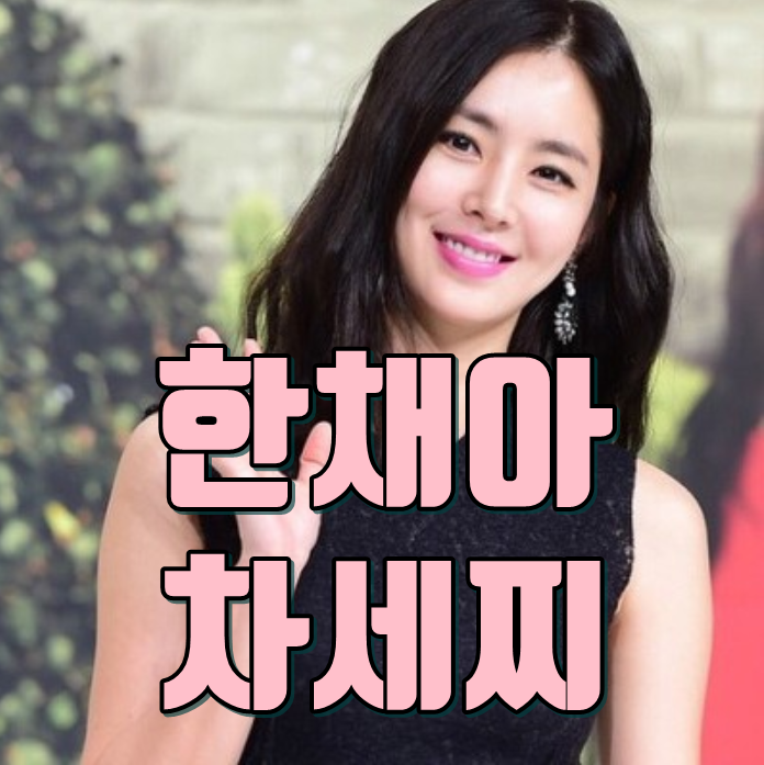  한채아 차세찌 사진 글래머 가슴성형 전후
