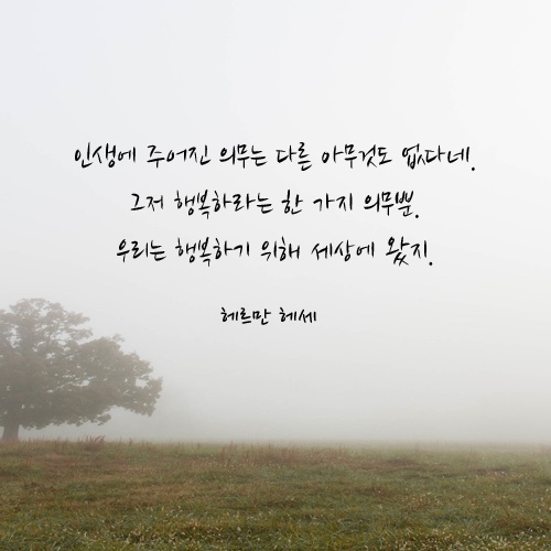  [4월 일상] 먹부림