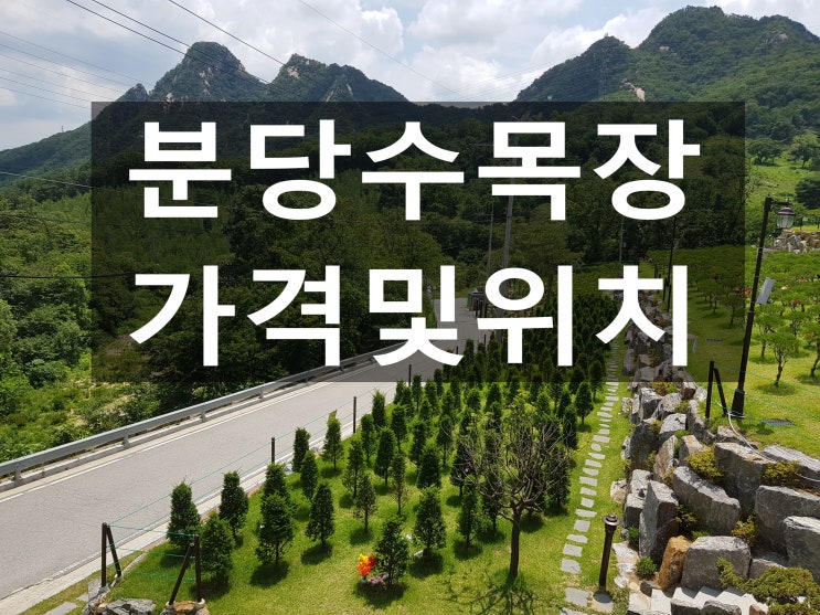  분당수목장 가격과 위치를 알고싶어요~