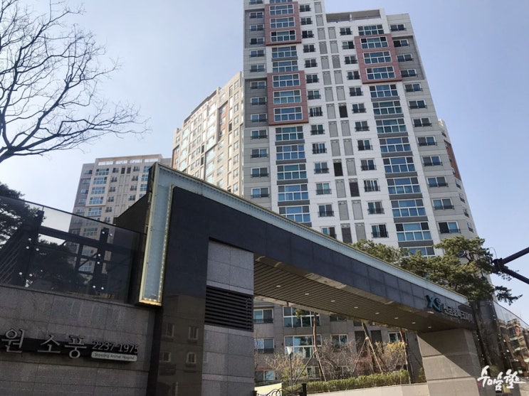  신금호역(금호2,3가동), 청구역(신당동) 주변 간단 임장기(신금호파크자이, 신당삼성아파트, 청구 이편한세상아파트, 신당8구역)