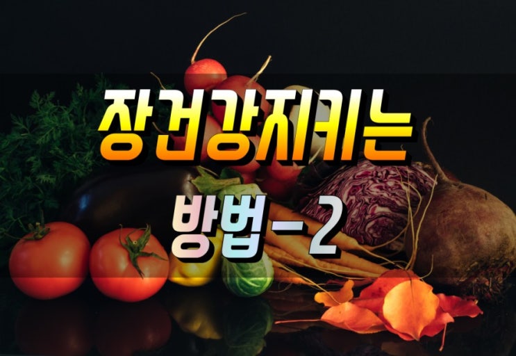  장을 튼튼하게 만드는 유산균 프로바이오틱스 효능 살펴보기 완결