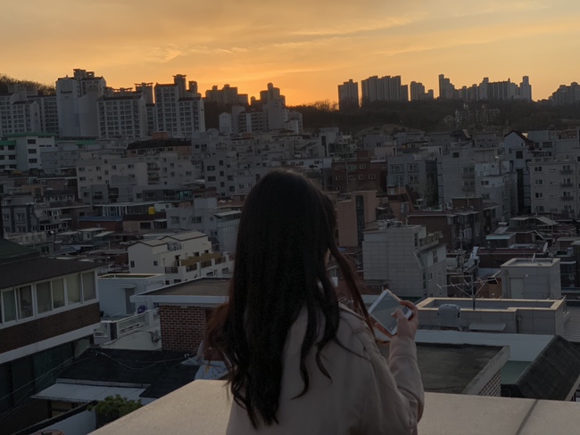  벚꽃 꽃말은 중간고사